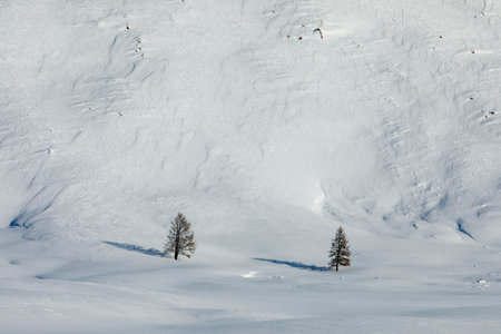View from Jazator river valley to South Chui ridge in winter day. Russia South Of Western Siberia, Altai Mountains. Desert mountains covered with snow near village of Djazatorの写真素材
