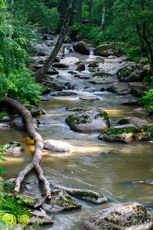 Terrenkur Old mill health trail along the Belokurikha mountain river in summer. Resort Belokurikha. Altay Kray, Russia. Verticalの写真素材