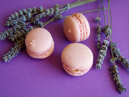 three pink pastel macaroons close-up on bright purple background with lavender flower, Delicious strawberry raspberry cookies. Top view flat layの写真素材