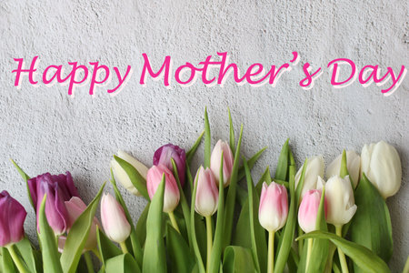 Happy mother's day inscription and border of tulip, bouquet of flowers for mom's day greeting card, Spring white pnk purple tulips on gray background. side view. Selective focus, close up.の写真素材