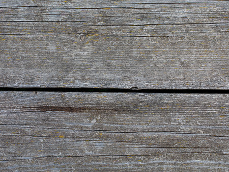 Natural Weathered Gray Tan Taupe Sepia Wooden Board, Cracked Rough Cut Wood Texture, Large Detailed Old Aged Gray Lumber Background Macro Closeup, Textured Crack Patternの写真素材