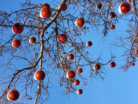 Street Christmas decorations. Dry tree branches decorated with red Christmas balls against the snow cold white day sky. Close-up. Selective focusの写真素材