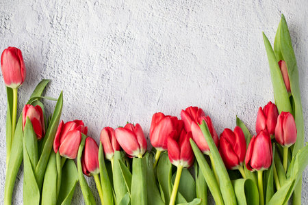Frame made from red fresh tulips on light gray concrete background. Top view flatlay, copy space, horizontal.の写真素材