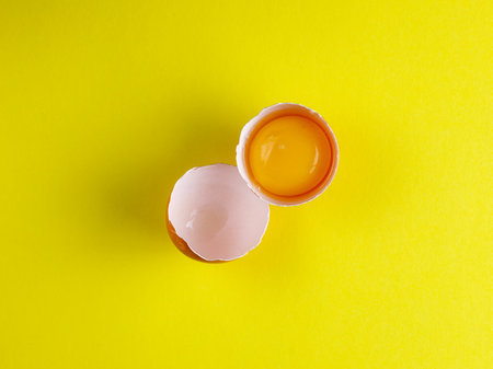 one broken brown chicken egg and egg yolk on the bright sunny yellow background. Top view from above, flat lay, copy space, trend minimalismの写真素材
