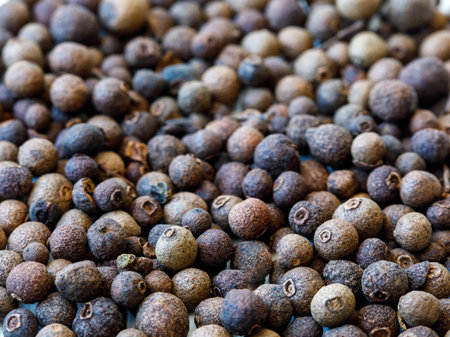 Allspice background. Jamaican pepper, pimento berry, allspice peppercorns or myrtle pepper. closeup full frame, food backgound, copy space.の写真素材