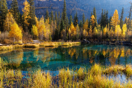 Geyser lake with turquoise water in Altai republic, Siberia, Russia. Famous tourist destination in Altai mountains. Autumn forest and blue sky, beautiful landscapeの写真素材