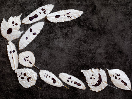 Halloween not closed oval frame of spooky autumn white leaves ghosts. Overhead view on a black background. Creative Halloween bw template. Top view, flat lay, copy space, monochromeの写真素材