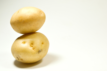 Two fresh potatoes kept on one above one isolated on white backgroundの写真素材