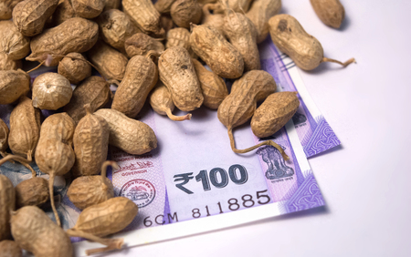 Close up of Peanuts or Groundnuts with indian currency below on isolated background
