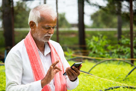 Indian Farmer busy using mobile phone while sitting in between the crop seedlings inside greenhouse or poly house - concept of farmer using technology and internet.の写真素材
