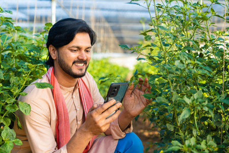 young farmer checking growth of plants from mobile phone application at green house - concept of...