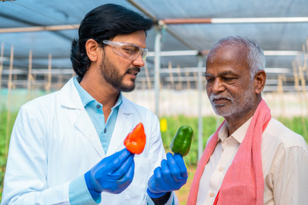 Agro scientist explaining from vegetable crop to Indain village farmer - concept of guidance, biotechnology and growth of modern farmingの写真素材
