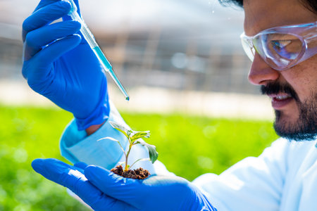 close up head shot of agro scientist adding chemicals to plant by holding in hand with soil - concept of research, invention or biotechnology and inspectionの写真素材