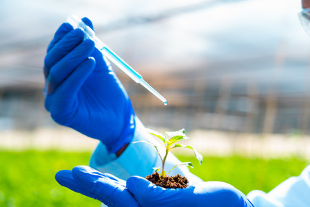 close up shot of agro scientist adding chemicals to plant by holding in hand with soil - concept of research, invention or biotechnology and inspectionの写真素材