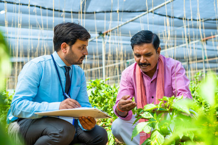 Indian officer noting down plants or crop growth by taking information from farmer at greenhouse -...