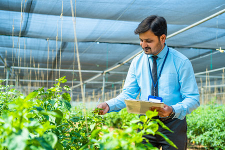 Indian officer or agro expert noting plant or crop conditions by checking at greenhouse - concept of...