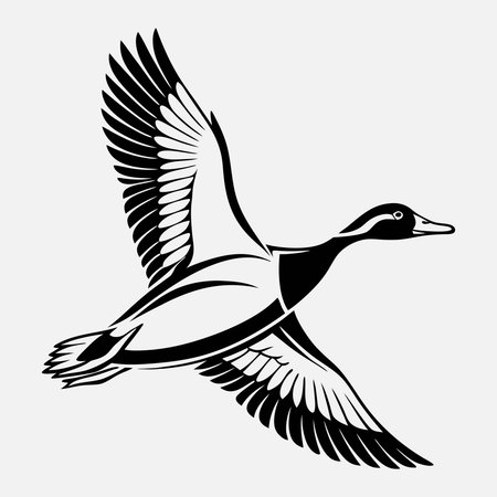 Duck line art White background illustrationのイラスト素材