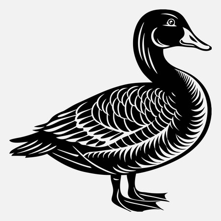 Duck line art White background illustrationのイラスト素材