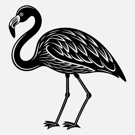 Flamingo bird isolated on a white background. Vector illustration.のイラスト素材