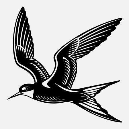 Flying Tern. Black and white vector illustration isolated on white backgroundのイラスト素材