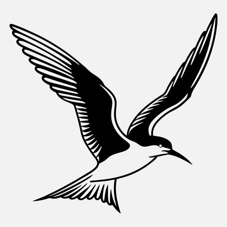 Flying tern. Black and white vector illustration isolated on gray backgroundのイラスト素材