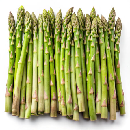 Bunch of fresh green asparagus isolated on white background.の写真素材