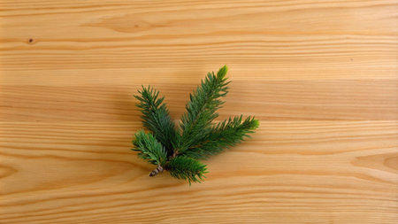 superior wooden background texture
