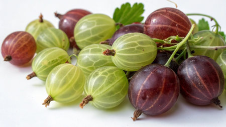 Gooseberries with green leaves on a white background, close upの写真素材