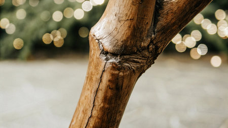 Wooden tree branch with bokeh lights in the background.の写真素材