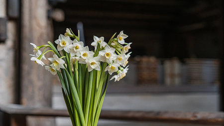 White daffodils in a vase on a wooden tableの写真素材
