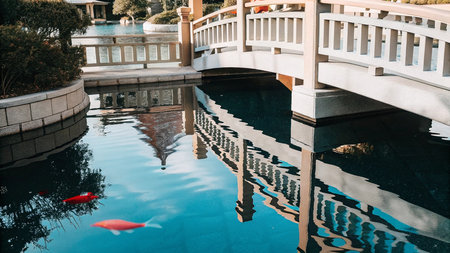 Beautiful luxury swimming pool in hotel pool resortの写真素材