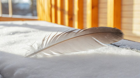 feather of a bird on the snow, close-up.の写真素材