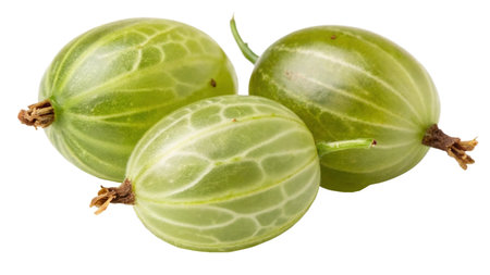Gooseberries with leaves isolated on white background. Clipping Pathの写真素材
