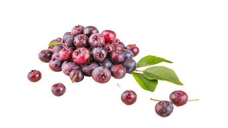Ripe wild berries with green leaves isolated on white background. Clipping pathの写真素材