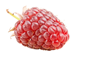 Raspberry fruit over white background close-up macro photography. Fresh berry.