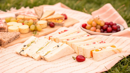 sandwiches with fruit and cheese on a picnic in the parkの写真素材