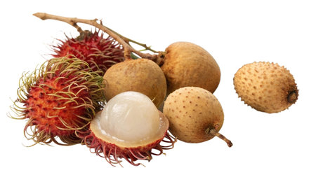 Rambutan fruit isolated on a white background with clipping path.の写真素材