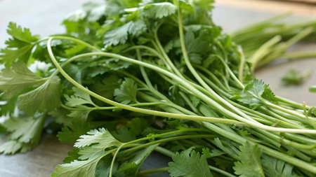 Fresh coriander leaves on a wooden table. Close up.
