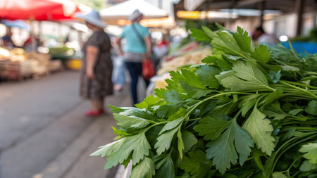 Fresh parsley on the street market in Phuket, Thailandの写真素材