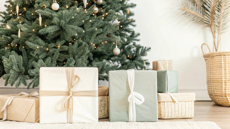 Christmas presents under the tree in the living room with a Christmas treeの写真素材