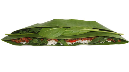 Vegetarian sandwich with spinach, tomato and cheese on a white backgroundの写真素材