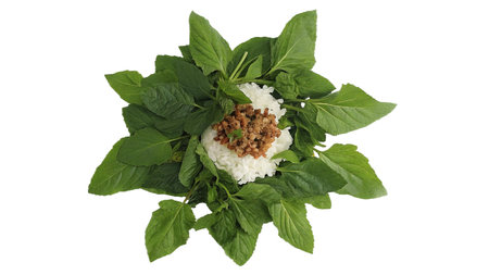 Basil and rice in a bowl isolated on a white background.の写真素材