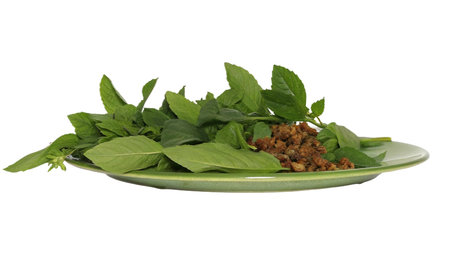 Fresh basil leaves on a green plate isolated on white background with clipping pathの写真素材
