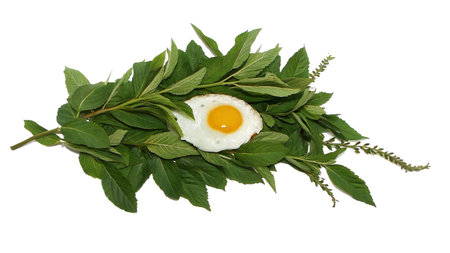Fried egg in the shape of a nest with green leaves on a white backgroundの写真素材