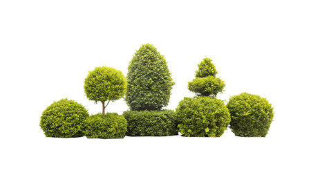 Set of green trees isolated on white background. 3d illustration.