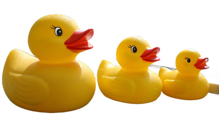 Rubber ducks isolated on white background. Clipping path included.