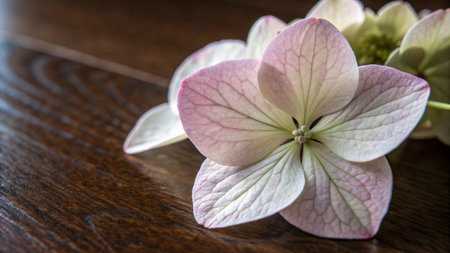 Blue hydrangea flowers on wooden background, close up shot