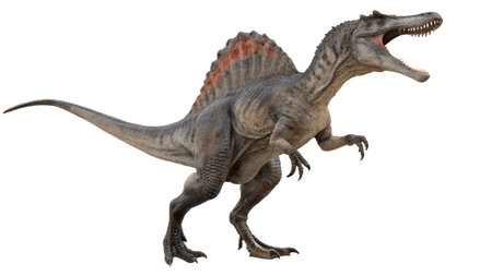 3D digital render of a dinosaur T-rex isolated on white backgroundの写真素材