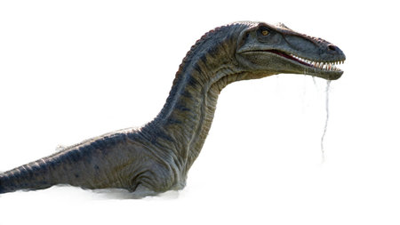 dinosaur on white background.dinosaur on white background.dinosaur on white background