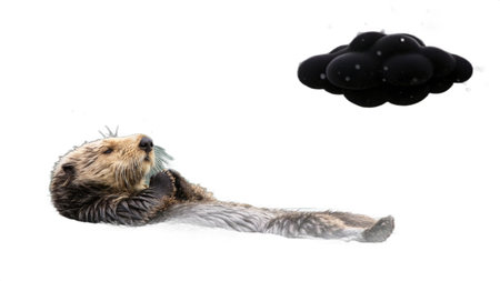 Cute sea otter lying on the floor with a cloud in the backgroundの写真素材